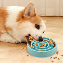 Comedouro Educativo Para Pets