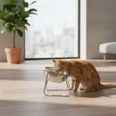 Comedouro Com Altura Ideal Para Gatos